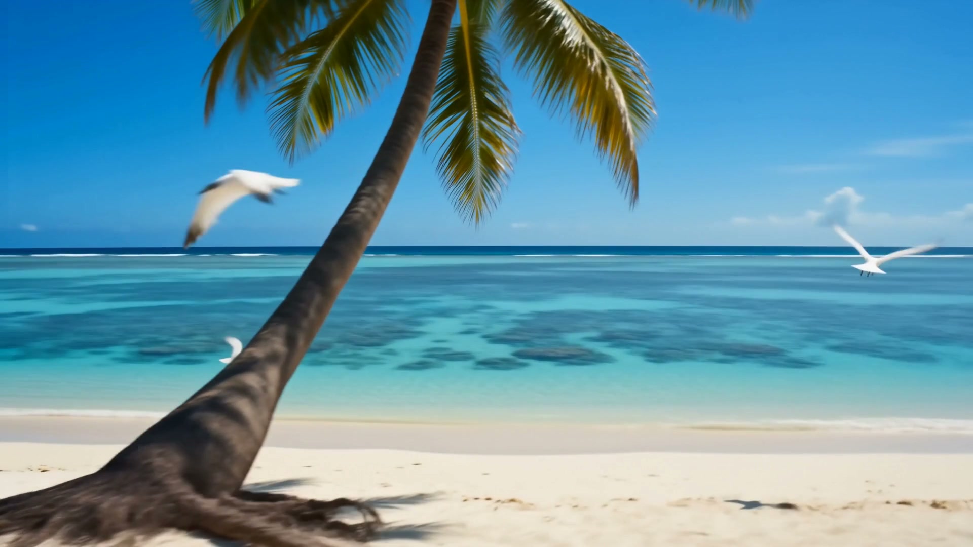 Plage de sable blanc, un palmier penché sur un lagon turquoise, des oiseaux en vol